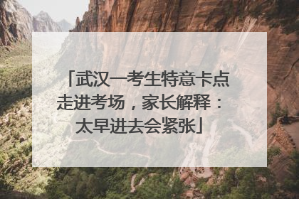 武汉一考生特意卡点走进考场，家长解释：太早进去会紧张